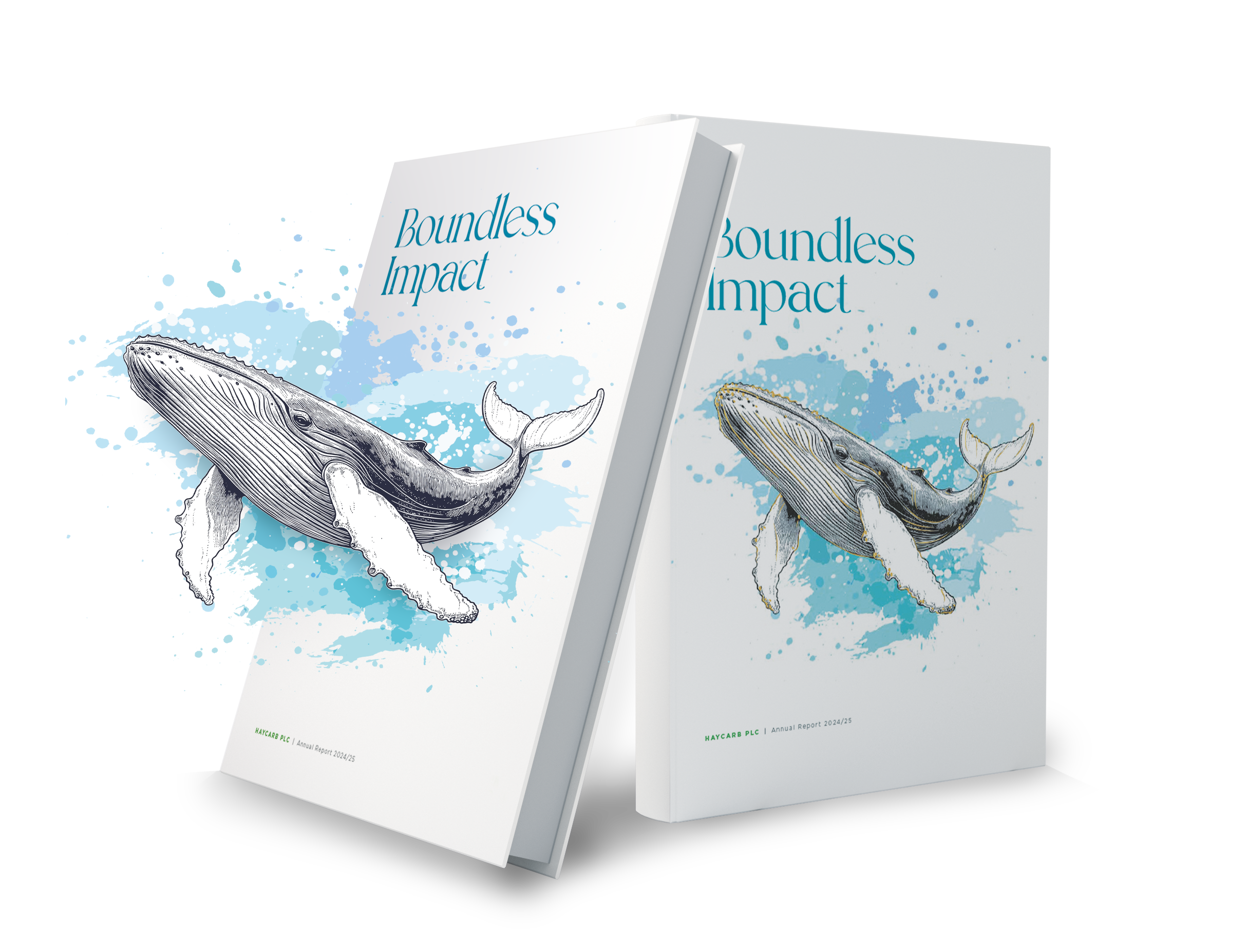 Haycarb's Annual Report 2024/25