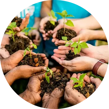 Pioneering Sustainability